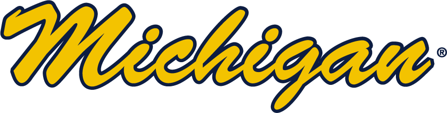 Michigan Wolverines 2016-Pres Wordmark Logo v3 iron on transfers for clothing